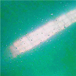 ʩF-ܷ̻ƺ